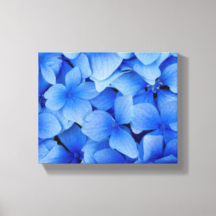 Blue Hydrangea Flowers Canvas Print