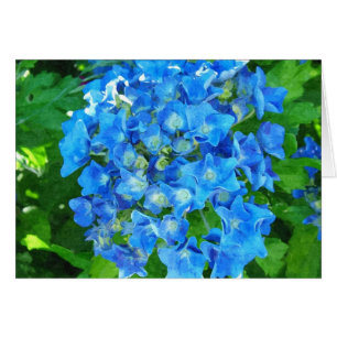 Blue hydrangea flowers. Floral photography.