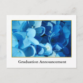Blue hydrangea flowers  graduation announcement postcard