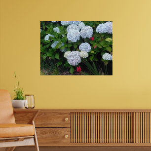 Blue Hydrangea Flowers in Summer Garden Poster