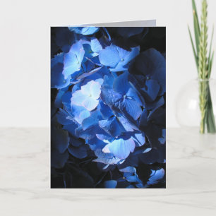 Blue Hydrangea - Greeting Card