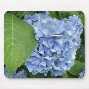 Blue Hydrangea (Hydrangea macrophylla) mouse pad