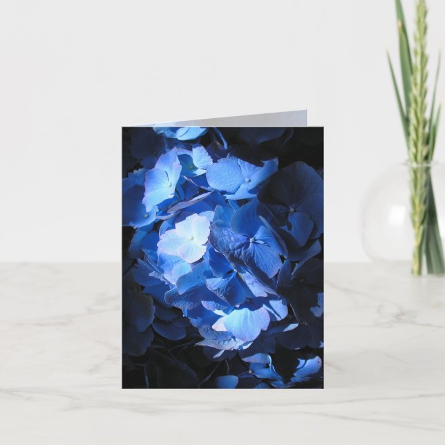 Blue Hydrangea - Note Card (Front)