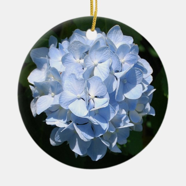 Blue Hydrangea ornament (Front)