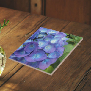 Blue Hydrangea Petals Floral Tile