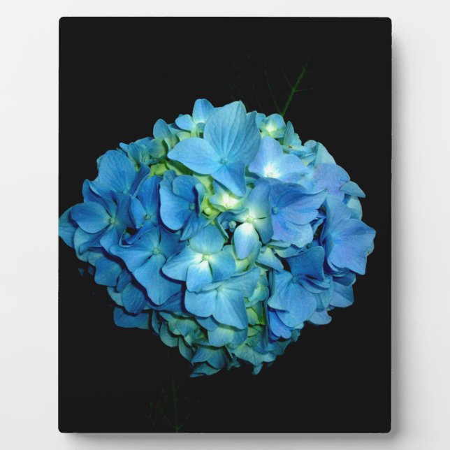 Blue Hydrangea Plaque (Front)