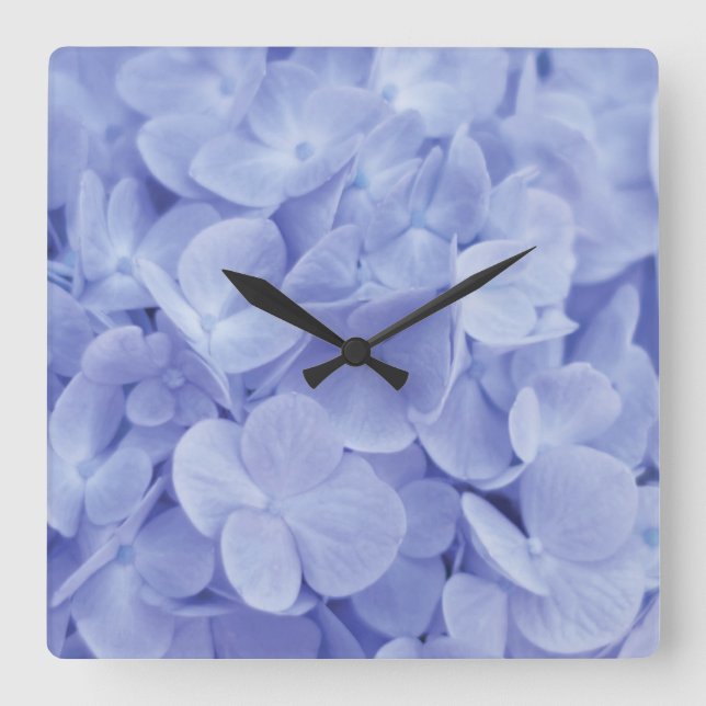 Blue Hydrangea Square Wall Clock (Front)