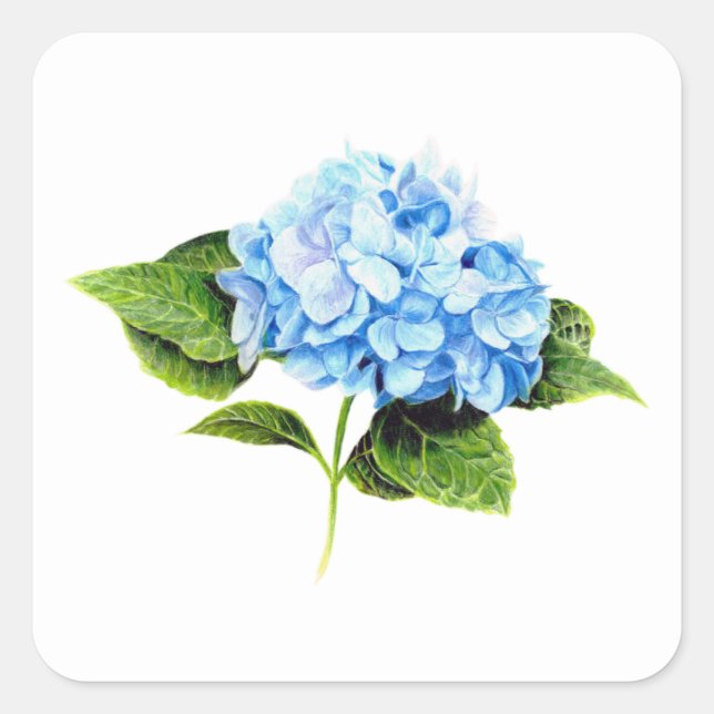 Blue Hydrangea Sticker (Front)