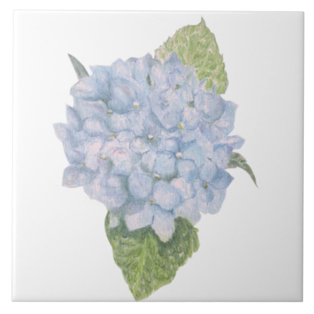 Blue Hydrangea Tile (Front)