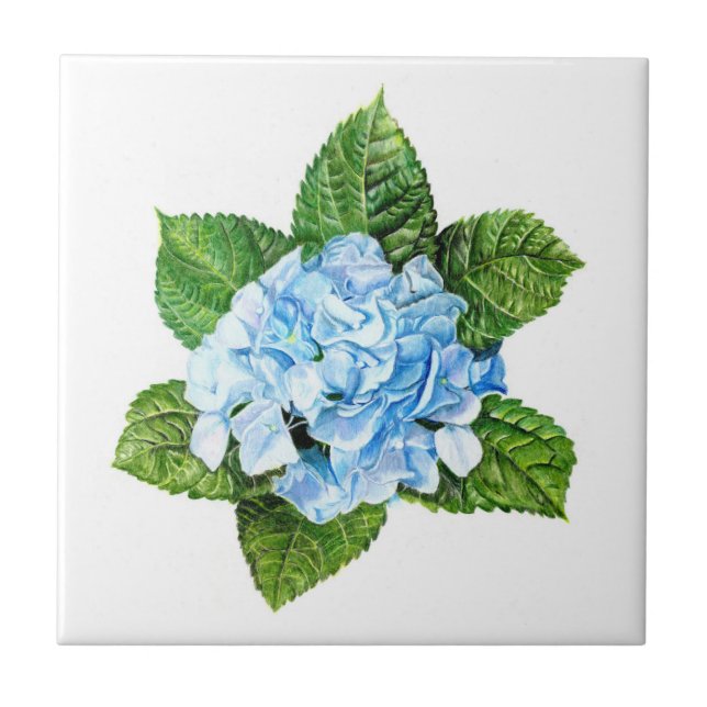 Blue Hydrangea Tile (Front)