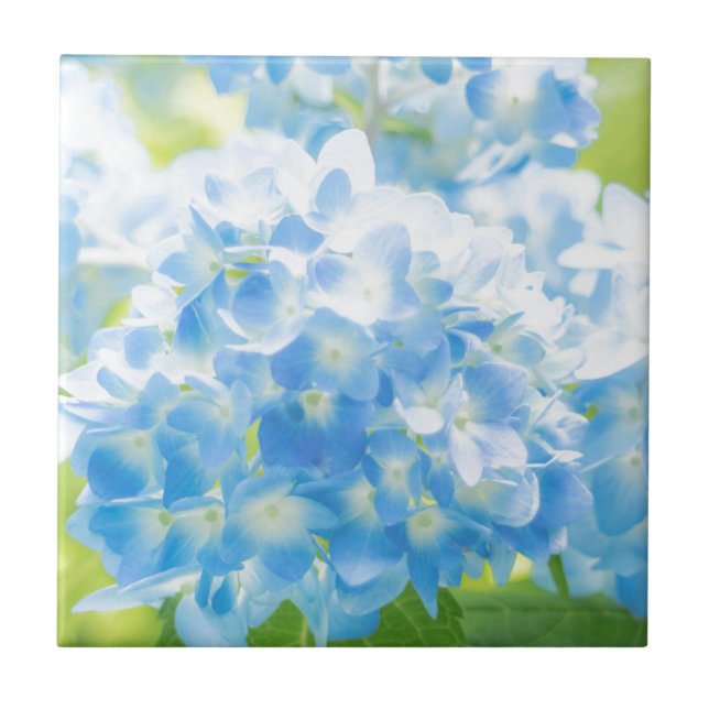 Blue Hydrangea Tile (Front)