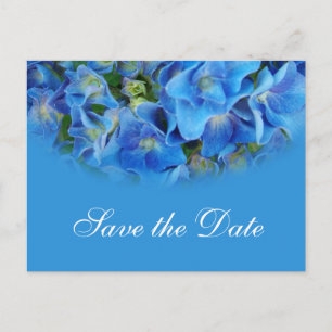 Blue hydrangea  wedding save the date postcards. announcement postcard