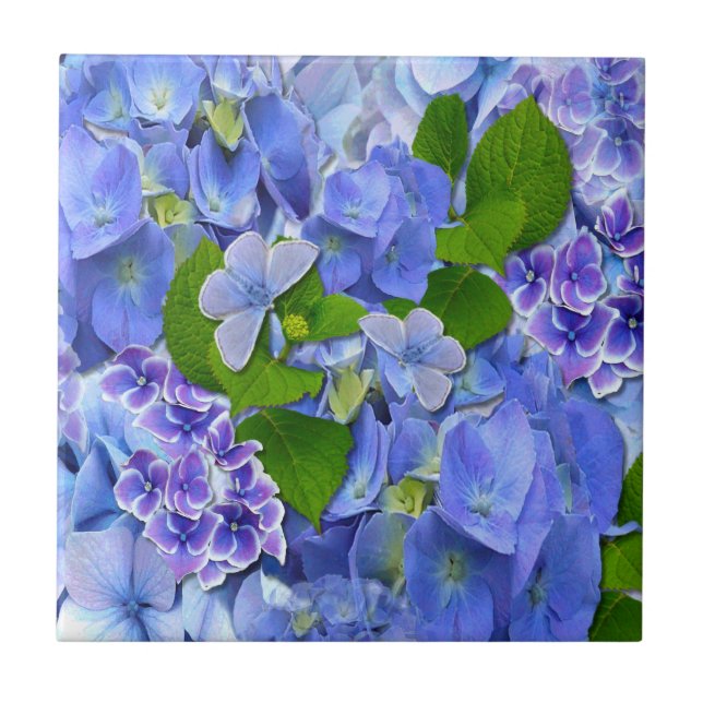 Blue Hydrangeas and Butterflies Tile (Front)