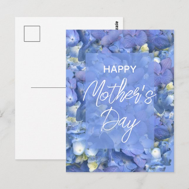 Blue Hydrangeas Blooms Mother's Day    Postcard (Front/Back)
