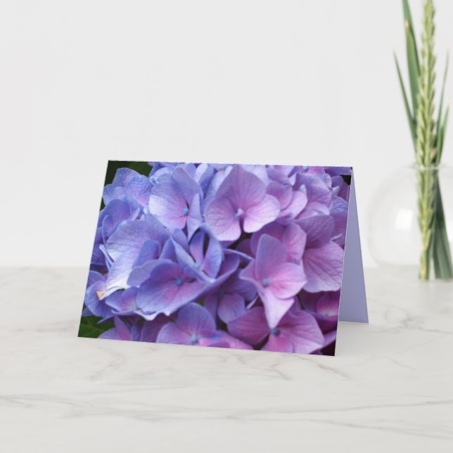 Blue Hydrangeas Card (Front)