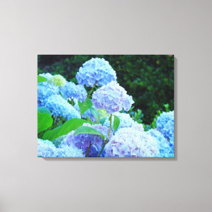 Blue Hydrangeas Floral Canvas Prints Custom