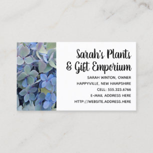 Blue Hydrangeas Nursery Plante Cartes de visite