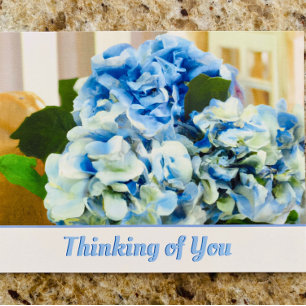 Blue Hydrangeas   Penser à votre carte postale