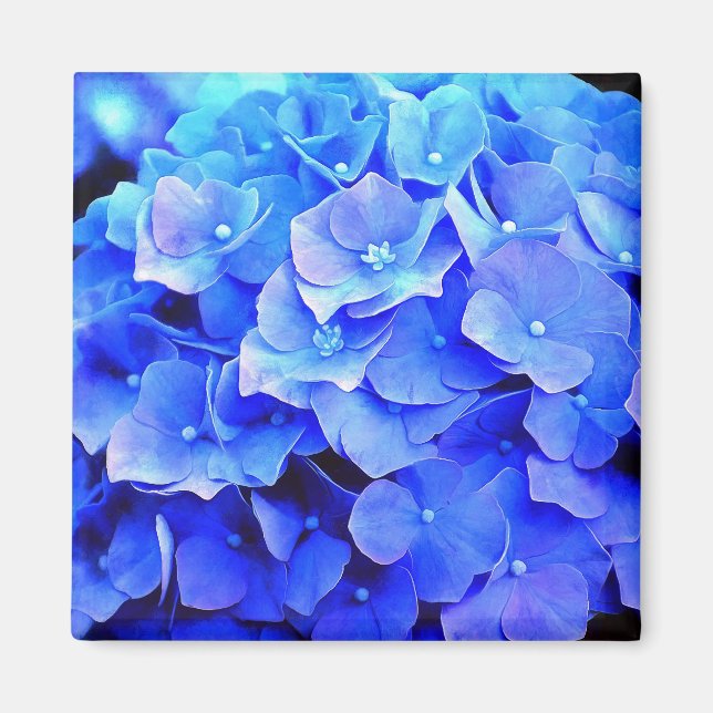 Blue Hydrangeas Refrigerator Magnet (Front)