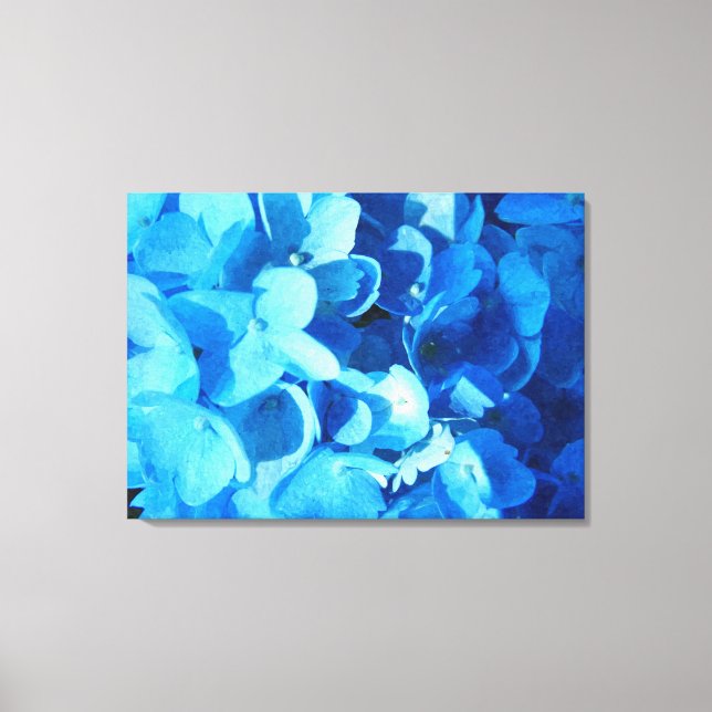 blue impression - summer hydrangea flowers canvas print (Front)