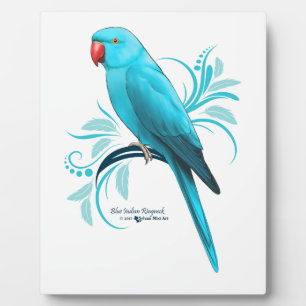 Blue Indian Ringneck Parrot Plaque