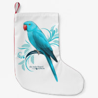 Blue Indian Ringneck parrot