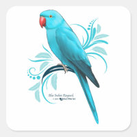 Blue Indian Ringneck Parrot