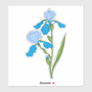 blue iris