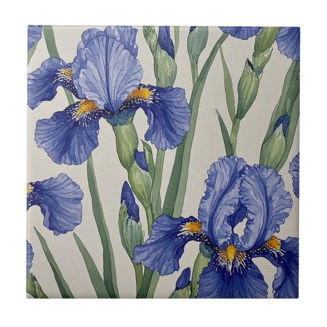 Blue Iris Blossoms Tile (Front)