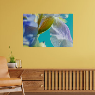 Blue iris, blue sky canvas print