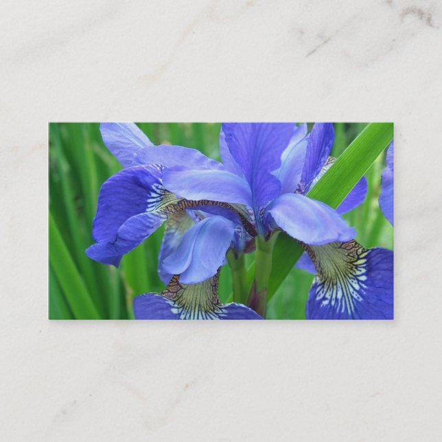 blue iris flowers business card (Front)