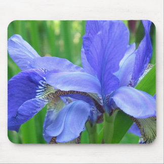 blue iris flowers mouse pad