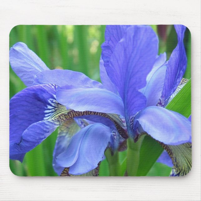 blue iris flowers mouse pad (Front)