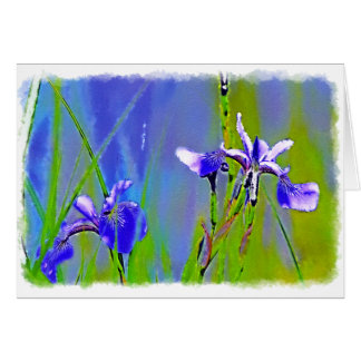 Blue Iris Garden Fleurs Floristes Design Art