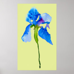 Blue Iris modern floral watercolor art Poster