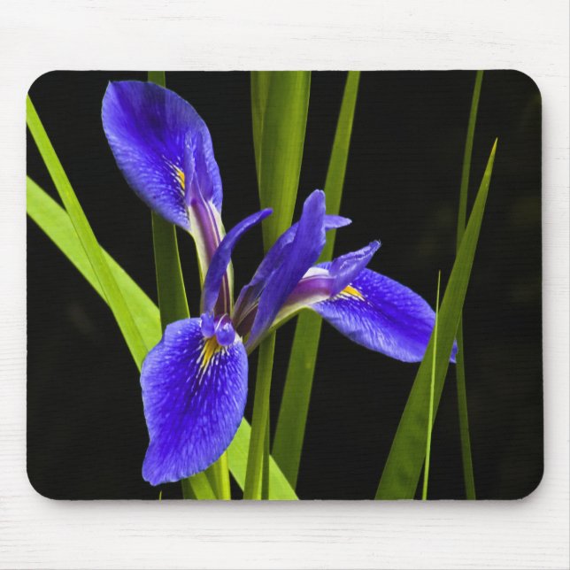 Blue Iris Mousepad (Front)