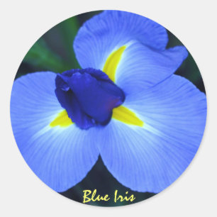 Blue Iris sticker
