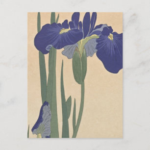 Blue Irises by Ohara Koson Postcard