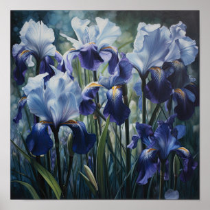 Blue Irises Flower Art Print Poster