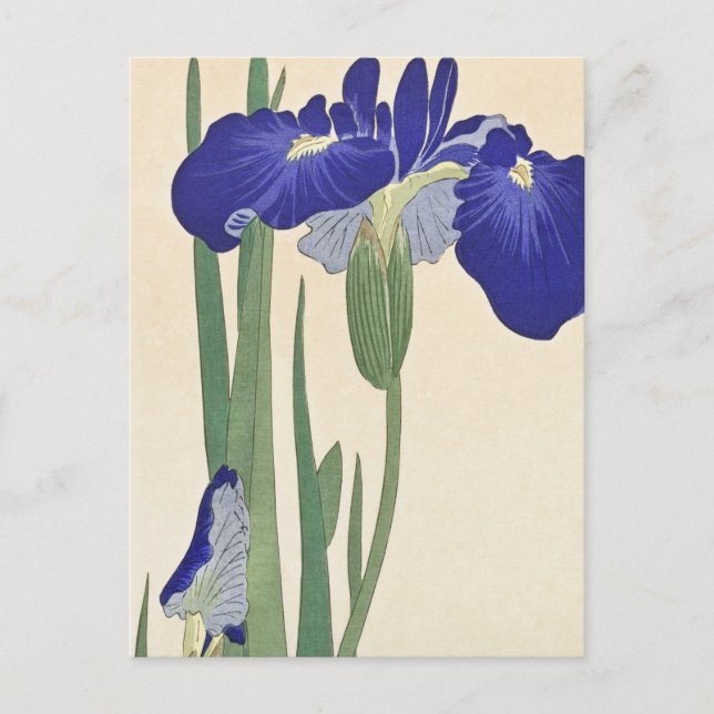 Blue Irises Painting by Ohara Koson Postcard (Front)