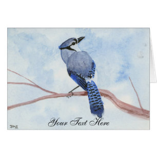 Blue Jay
