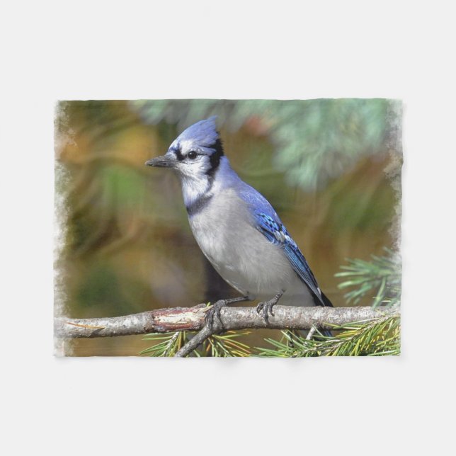Blue Jay 1 Fleece Blanket (Front (Horizontal))