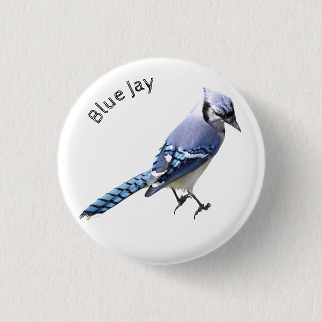Blue Jay 1 Inch Round Button (Front)