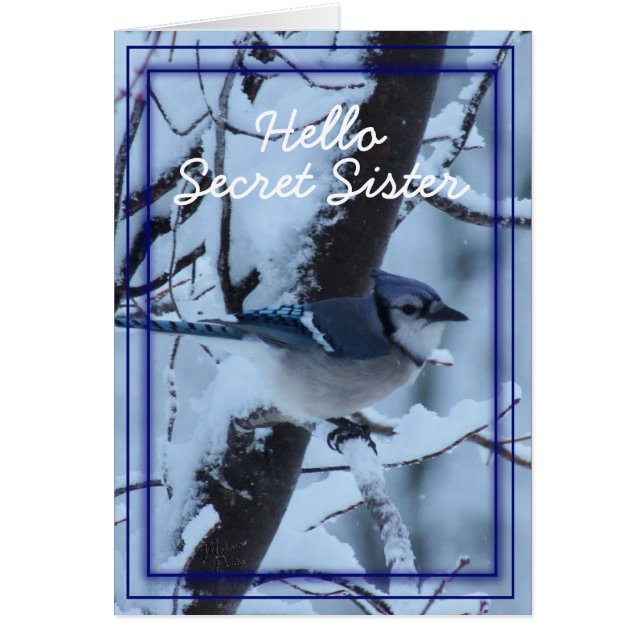 Blue Jay 7133- customize any occasion (Front)
