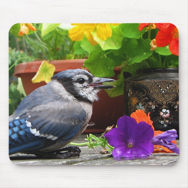 Blue Jay and Flowers Mouse Pad (Front)