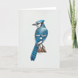 Blue Jay Art Card