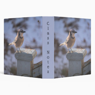 Blue Jay Binder