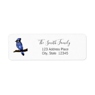 Blue Jay Bird