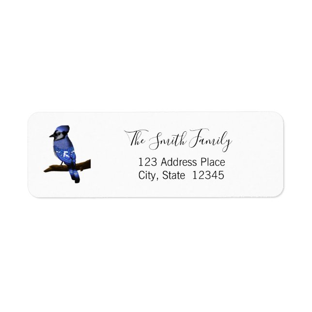 Blue Jay Bird (Devant)