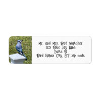 Blue Jay, Bird Address Labels
